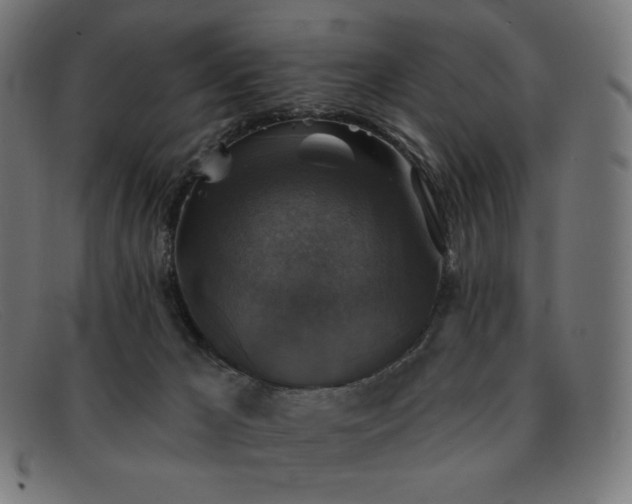 X0000091890029200709121448