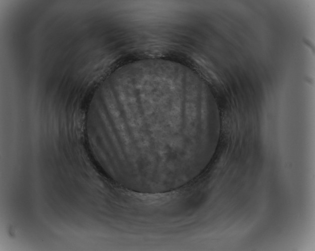 X0000091890030200709121448