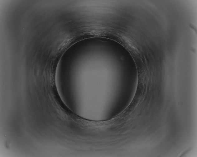 X0000091890031200709121448