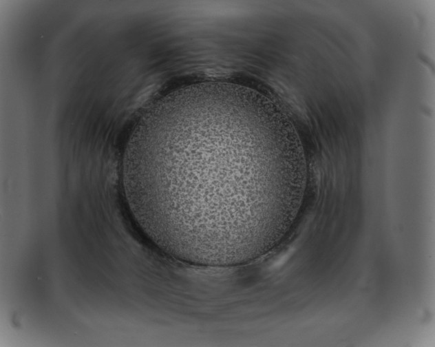 X0000091890032200709121448