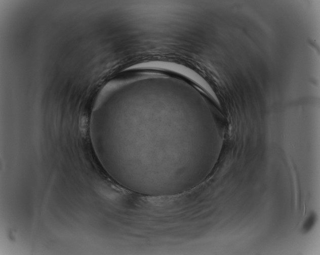 X0000091890033200709121448
