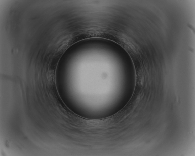 X0000091890034200709121448