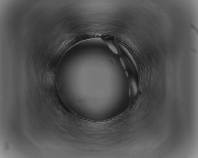 X0000091890035200709121448