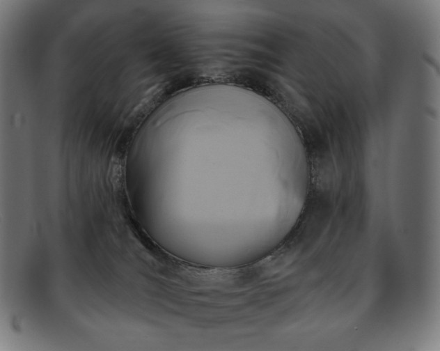 X0000091890036200709121448
