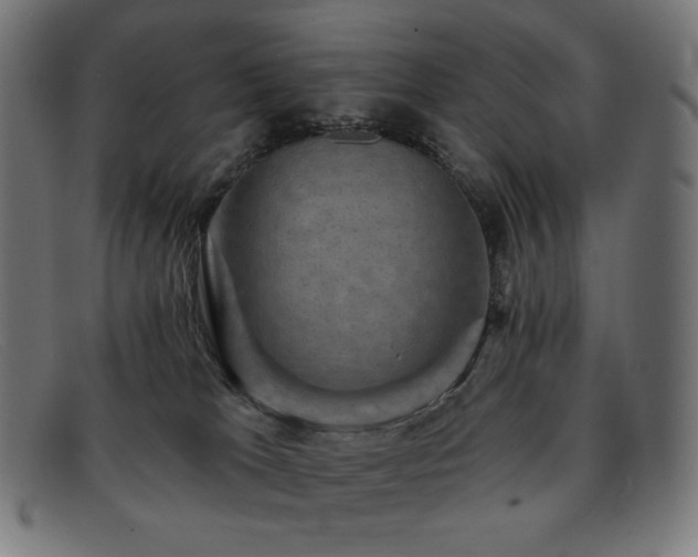 X0000091890037200709121448