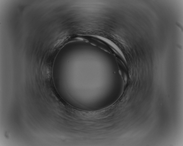 X0000091890039200709121448