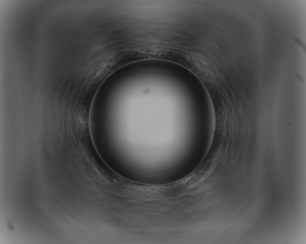 X0000091890040200709121448