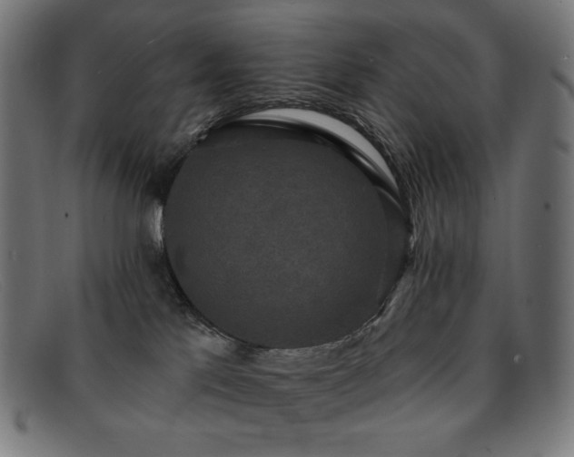 X0000091890041200709121448