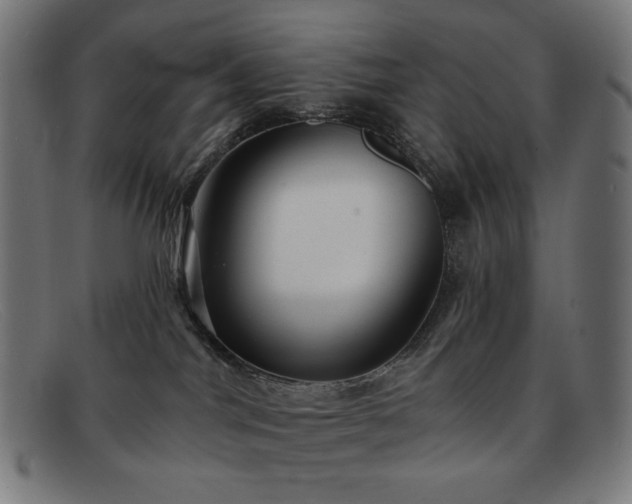 X0000091890044200709121448