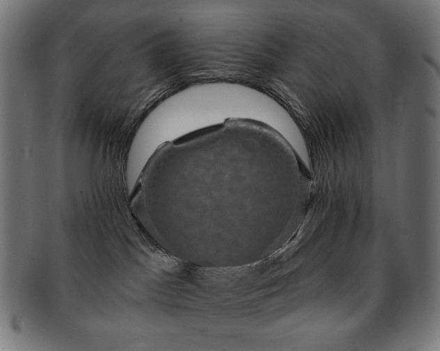 X0000091890045200709121448