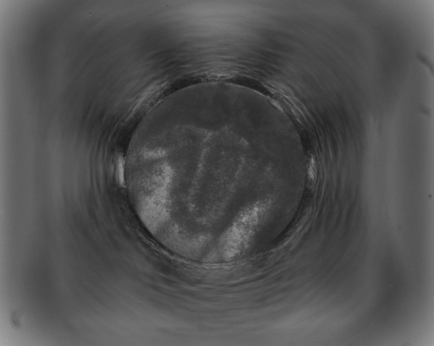 X0000091890046200709121448