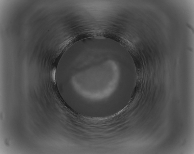 X0000091890047200709121448