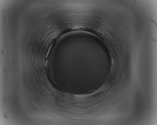 X0000091890048200709121448