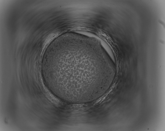 X0000091890049200709121447