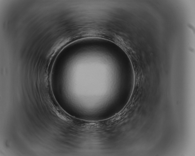 X0000091890050200709121447