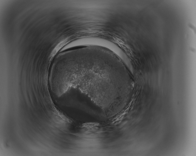X0000091890051200709121447