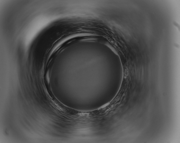 X0000091890052200709121447