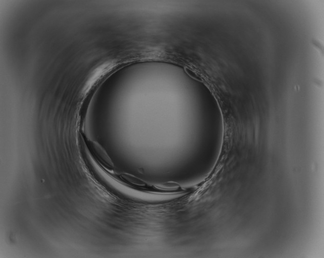 X0000091890054200709121447
