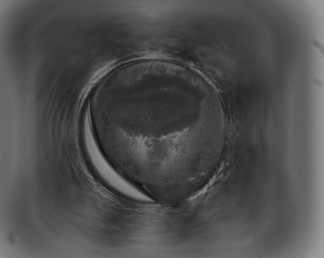 X0000091890055200709121447