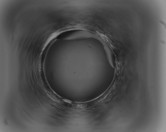 X0000091890056200709121447