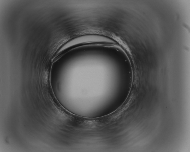 X0000091890057200709121447