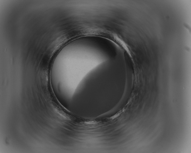 X0000091890059200709121447