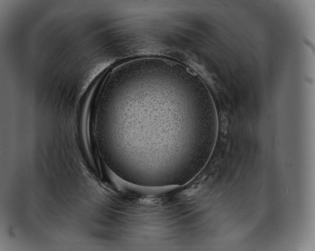 X0000091890060200709121447