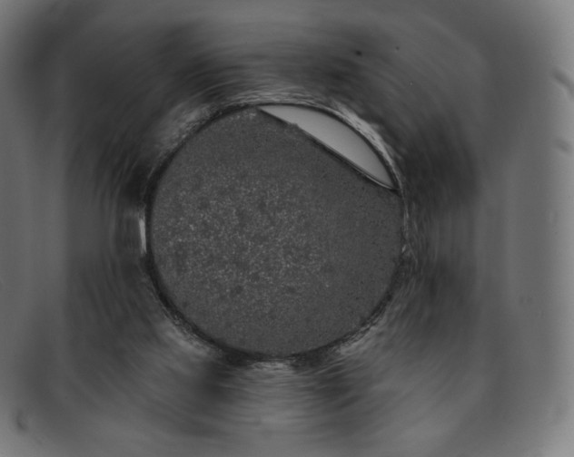 X0000091890061200709121447