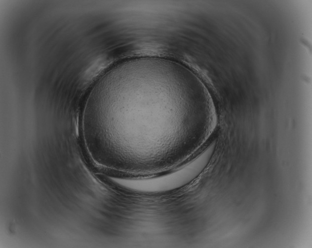X0000091890062200709121447