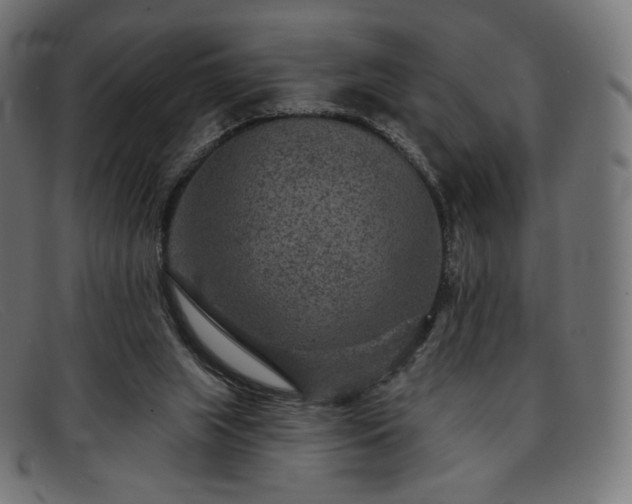 X0000091890063200709121447