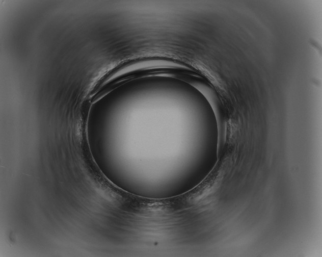 X0000091890064200709121447