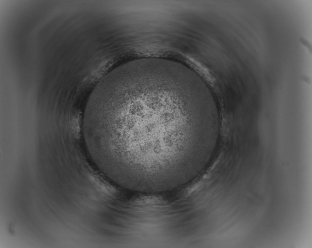 X0000091890065200709121447