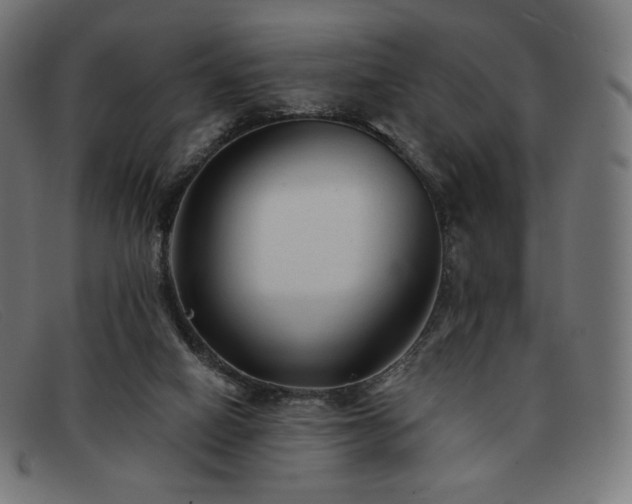 X0000091890066200709121447
