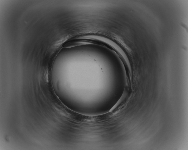 X0000091890068200709121447