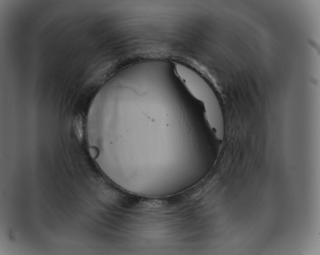 X0000091890069200709121447