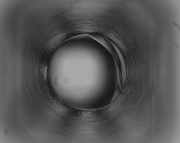 X0000091890070200709121447