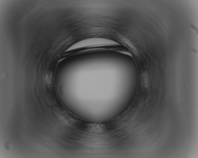 X0000091890073200709121448