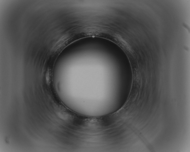 X0000091890074200709121448