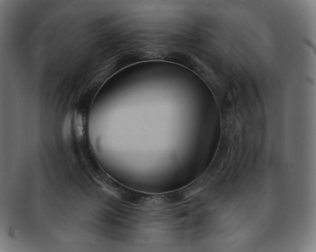 X0000091890075200709121448