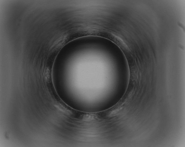 X0000091890077200709121448