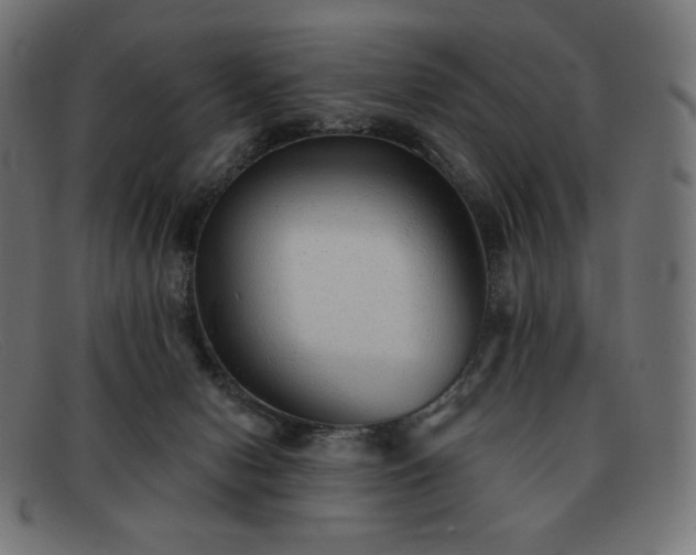 X0000091890078200709121448
