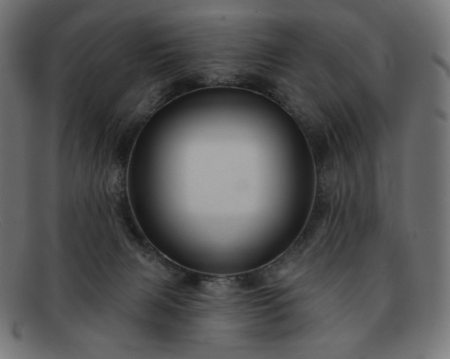 X0000091890079200709121448