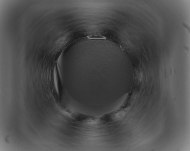 X0000091890080200709121448