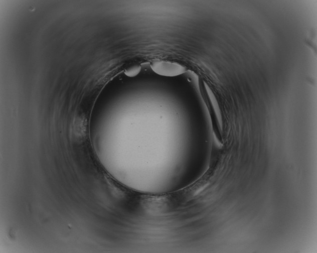 X0000091890081200709121448