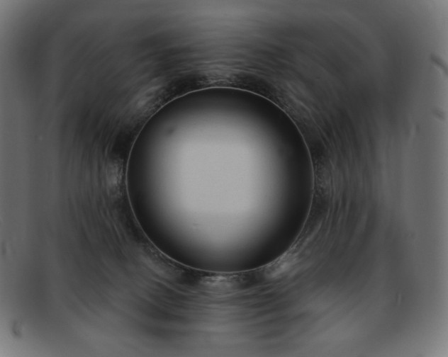 X0000091890082200709121448