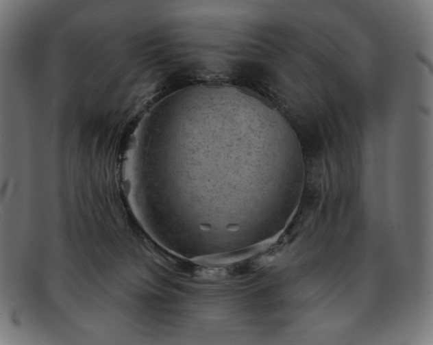 X0000091890084200709121448