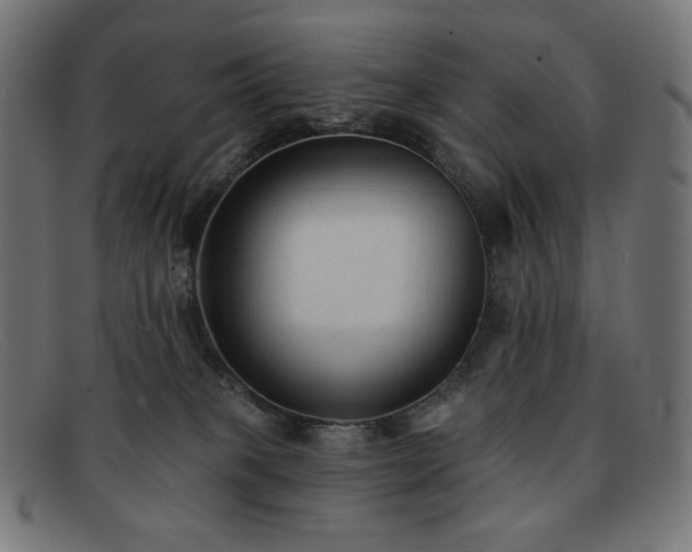 X0000091890085200709121448