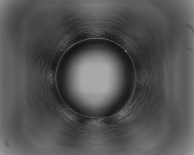 X0000091890086200709121448