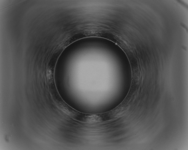 X0000091890087200709121448