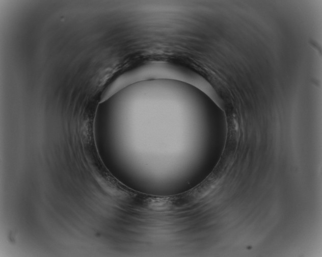 X0000091890088200709121448